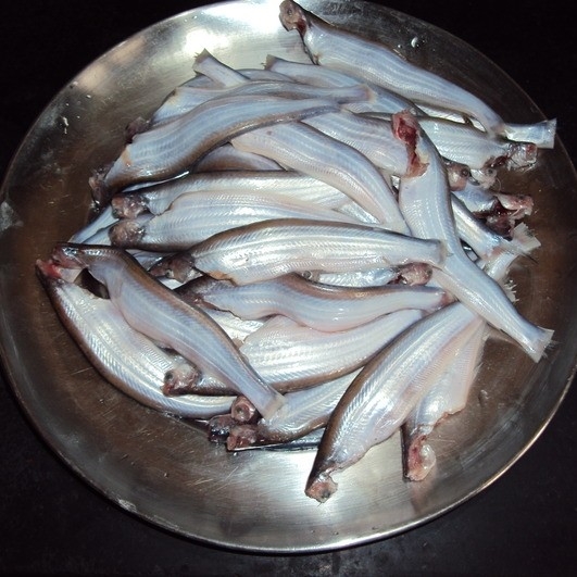 Kajoli