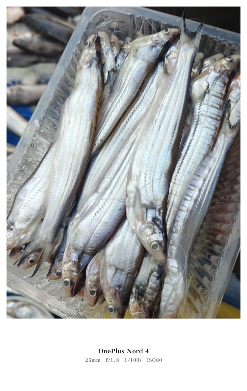 Kajoli