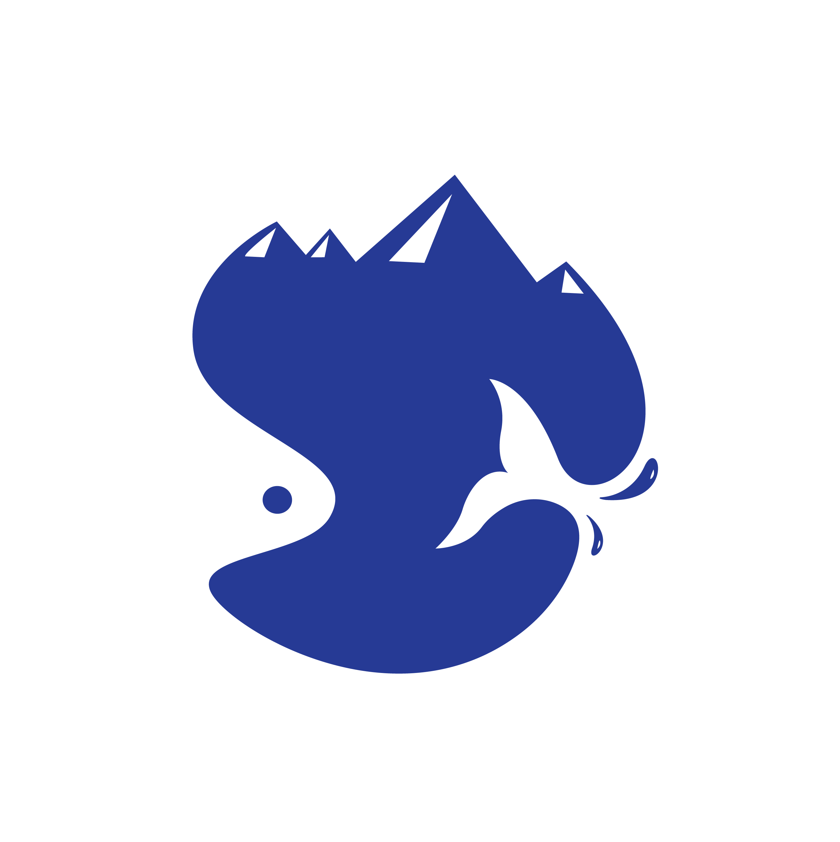 Footer Logo